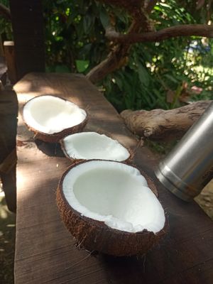 Fresh coconut at Supranee Vegetarian Food in Koh Phayam