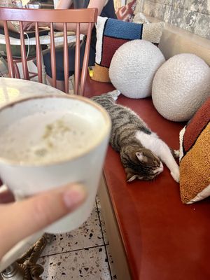 drink with a view  at Proje Cafe in Istanbul