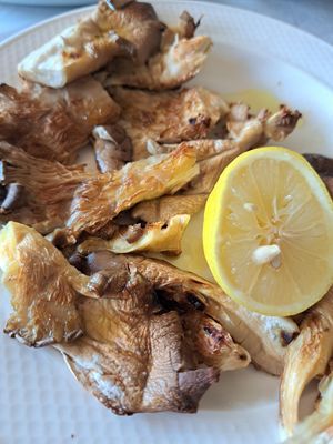 Grilled oyster mushrooms at Ais Giwrkis Kakopetria in Kakopetria