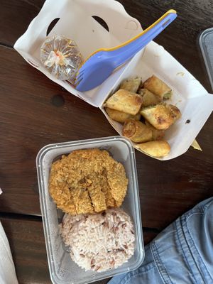 Mock chicken and rice & spring rolls (came with separate sauce)  #Veganuary at So Vegan - Charan Sanitwong in Bangkok