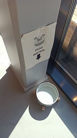  at Brammibal's Donuts - Schanzenviertel in Hamburg