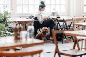 Spinach Crystal Palace Restaurant and Private Dining Room at Spinach - Crystal Palace in South East London