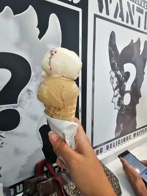  at The Dolly Llama in Winter Garden