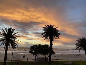   at Tiger's Milk Camps Bay in Cape Town