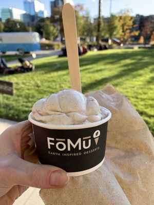 Apple Cider Donut Coconut Ice Cream at FoMu in Allston