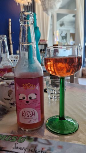 Lovely! at Cat Cafe Tiramisu in Kuopio