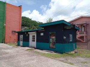  at Vegan Vibes in St Georges