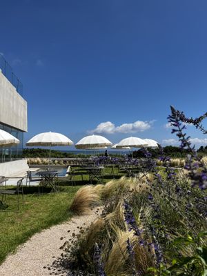 garden view  at orrrn in Jeju