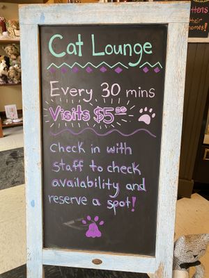 You can generally walk in and get a spot in the cat lounge, but they limit how many humans can hang out with the kitties so they don’t get overwhelmed.  at Kitty Korner Cafe in Barre