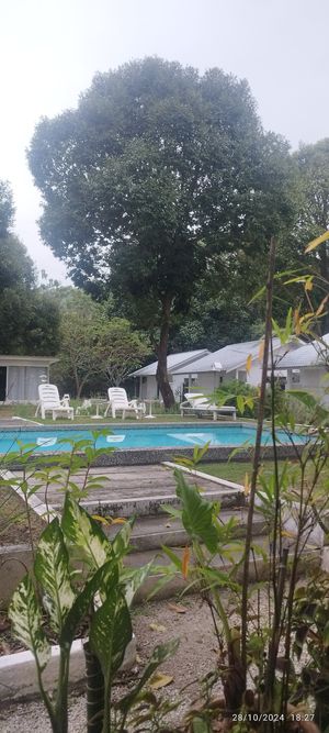  at Fat Cupid in Langkawi