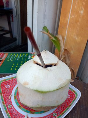 Fresh coconut at Joy's Place in Pai