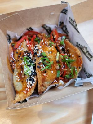 Tofu dumplings at Salt N Fire in Inverness