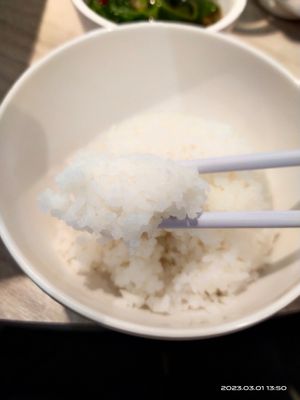 Rice at Fortunate Taste Vegetarian Restaurant 幸福蔬食餐廳 in 