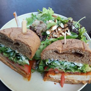Buffalo Bomber sandwich with side salad at Veggie Grill by Next Level in Portland