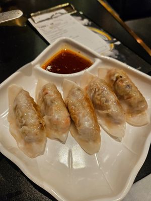 Veg Gyoza ~4/5/24 at Arashi Shabu-Shabu - City Square in Johor Bahru