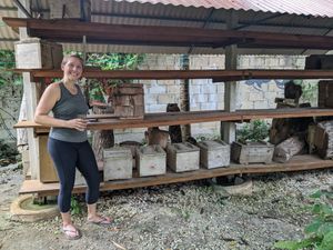 Native stingless bee sanctuary at Holistic Tikun - Cozumel Retreat & Eco Center in Cozumel