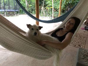 Resident dog, Leo, is so sweet! at Holistic Tikun - Cozumel Retreat & Eco Center in Cozumel