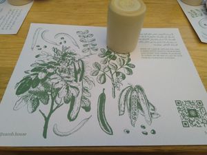  at Carob House in Madaba