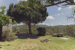  at Vegane Reisen in Aljezur