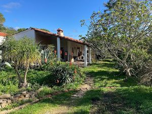  at Vegane Reisen in Aljezur