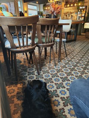 Hondjes zijn welkom ❤️ at Breakaway in Sint Geertruid