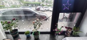  at Loving Hut - 10 khoroolol/10-р хороолол in Ulaanbaatar