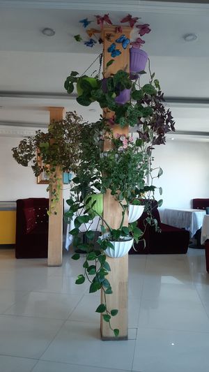  at Loving Hut - 10 khoroolol/10-р хороолол in Ulaanbaatar