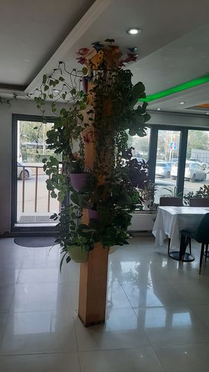  at Loving Hut - 10 khoroolol/10-р хороолол in Ulaanbaatar