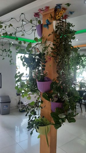  at Loving Hut - 10 khoroolol/10-р хороолол in Ulaanbaatar