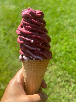 Vegan mixberry  at Rama's Real Fruit Ice Cream in Auckland
