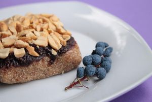   at Zdravo Razum in Novi Sad