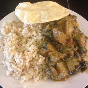 rice and curry at Hari's Vegetarian in Haymarket