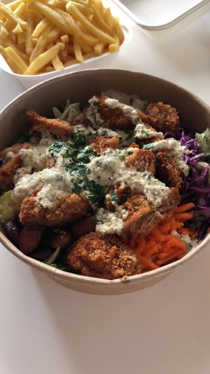 velofood take out delivery, nugget salad and fries at Cafe Erde in Graz