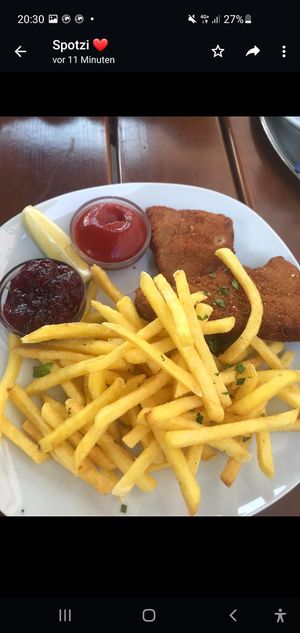 Schnitzel mit Pommes at Cafe Erde in Graz