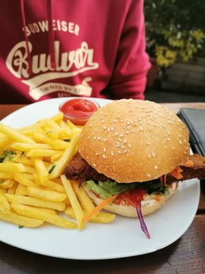 Schnitzelburger with French fries at Cafe Erde in Graz