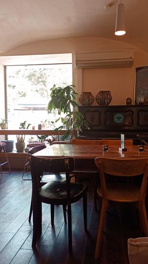  at Cafe Erde in Graz