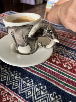   at Rywin Coffee & Eatery in Chiang Mai