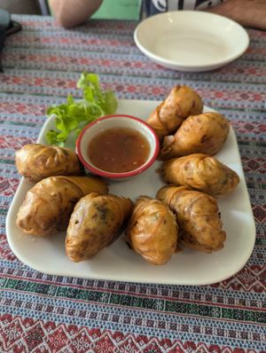 Spring rolls 🤤 at Rywin Coffee & Eatery in Chiang Mai
