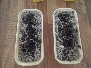  at Evelicious Cakes in Isle Of Sheppey