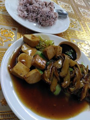 Tofu with mushrooms and veggies im brown sauce at Eat Me Veggie & Vegan in Bangkok