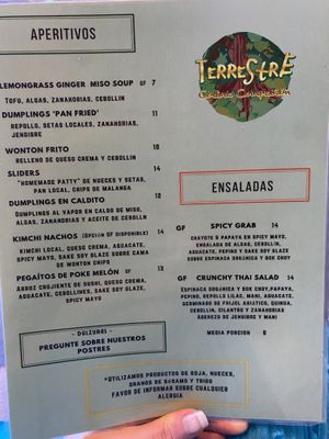   at Terrestre Cocina Compasión in San Juan