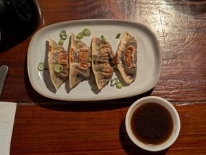 Dumplings "Pan Fried" at Terrestre Cocina Compasión in San Juan