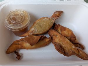 Fried Wonton at Terrestre Cocina Compasión in San Juan