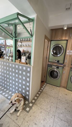   at Clean in Hong Kong Island