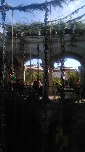 the terrace at Muss Café in Oaxaca