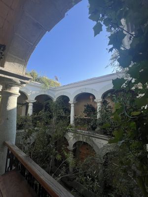   at Muss Café in Oaxaca