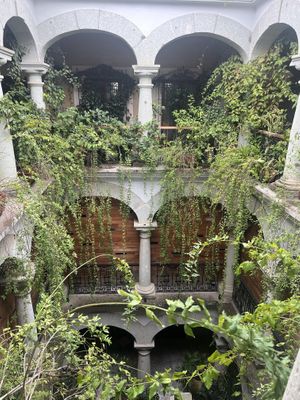 Indoor decor  at Muss Café in Oaxaca