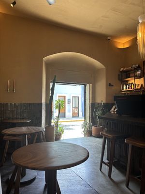   at Muss Café in Oaxaca