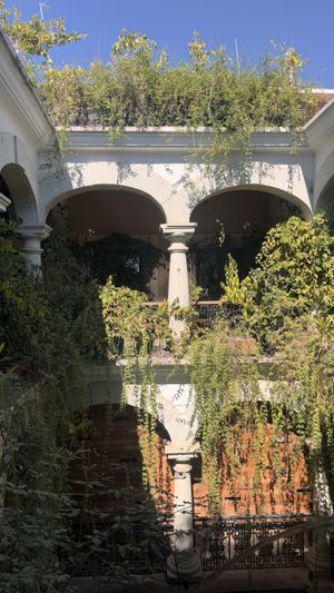   at Muss Café in Oaxaca