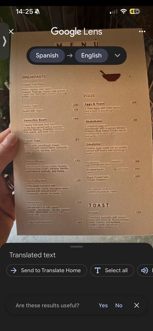   at Muss Café in Oaxaca